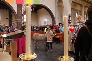Een ezel in de kerk