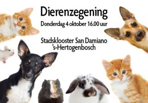 Dierenzegening in Stadsklooster San Daminano