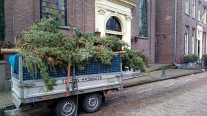 Kerstboom van vorig jaar