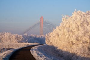 Vieringen in Ammerzoden, Velddriel en Zaltbommel afgelast