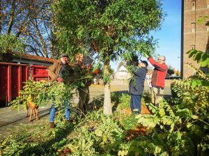 Tuinwerkdag